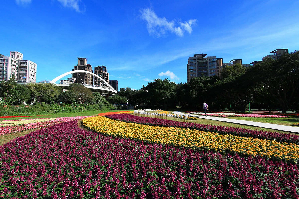古亭河濱花海。 圖：台北市政府提供