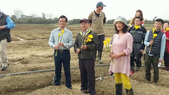 為了生長期需要75天到90天美麗海芋，大園區溪海里社區里民、花媽媽青年團隊及志工們，自去年12月中旬開始，合力挖溝、播種、放樣，陸續種下4萬顆的海芋種球，希望3月能繽紛登場，呈現美麗的彩芋給旅人欣賞。 圖：翻攝自桃園市花媽媽社區發展協會