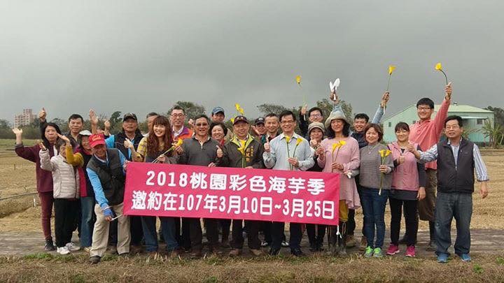 4日，花媽媽社區發展協會邀請桃園市府副秘書長邱俊銘，偕同花媽媽社區發展協會的志工，種下最後一批的海芋寶寶後，大家靜待彩芋，早早搭上早春列車，盛開迎春。 圖：翻攝自桃園市花媽媽社區發展協會