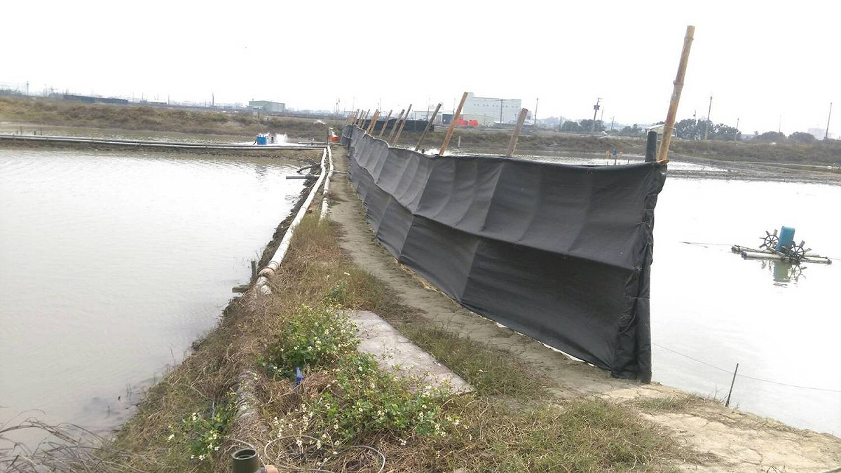 魚塭北側搭蓋防風棚防寒。 圖：農委會提供