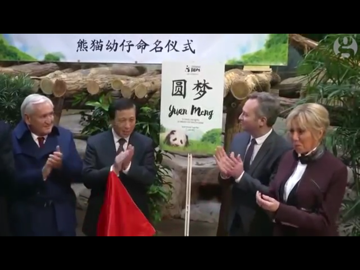 馬克宏的夫人碧姬.馬克宏（Brigitte Macron ）在去（2017）年12月4日，出席在法國出生的小熊貓「圓夢」的命名儀式。 圖：翻攝自英國衞報網站