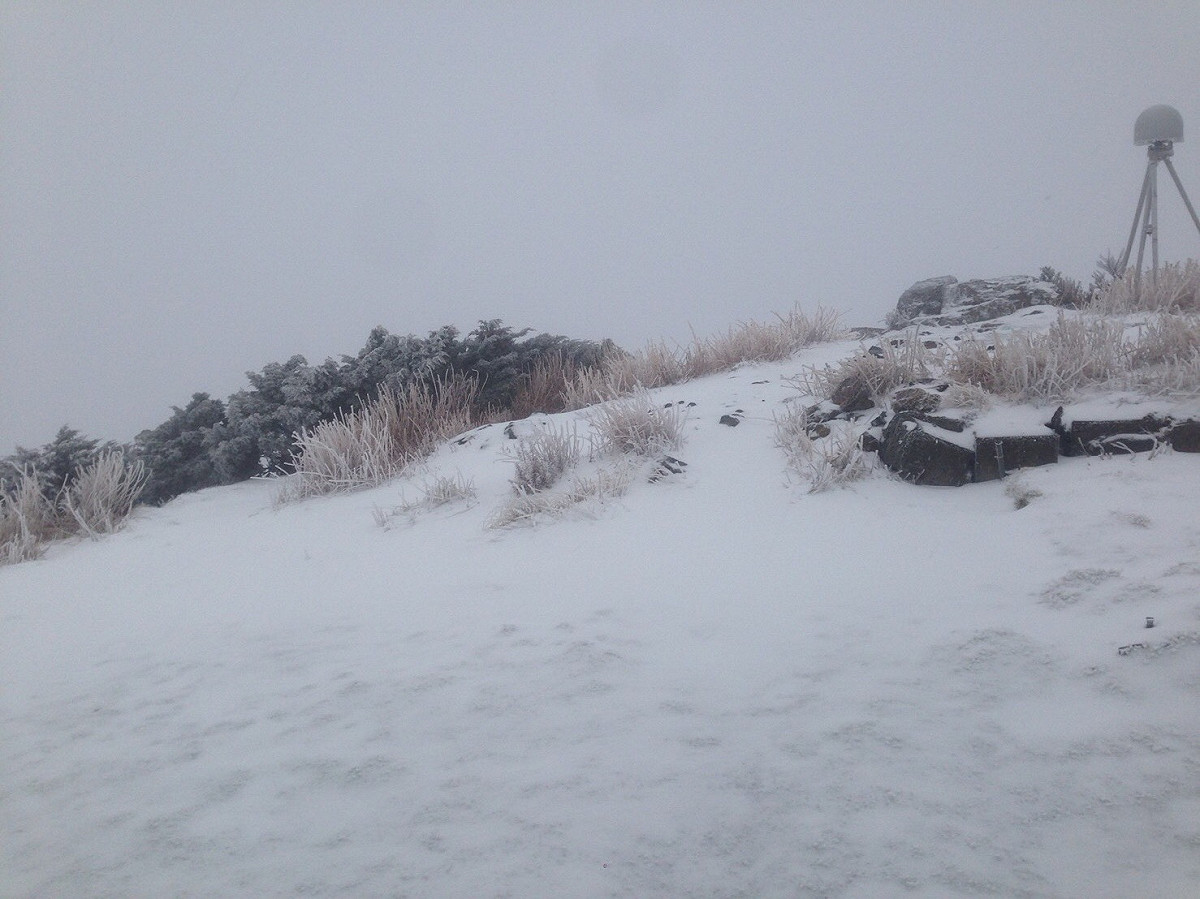 玉山今天降下2018年第一場瑞雪。 圖：中央氣象局提供