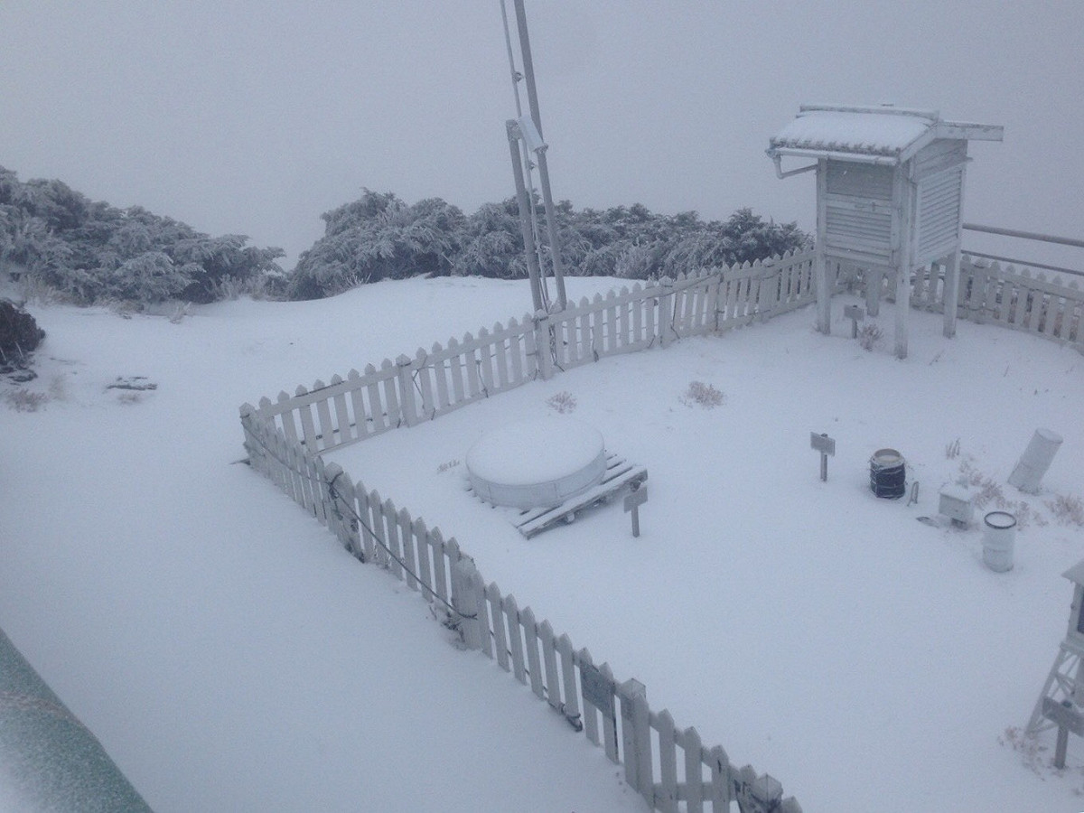 氣象觀測站一片白雪。 圖：中央氣象局提供