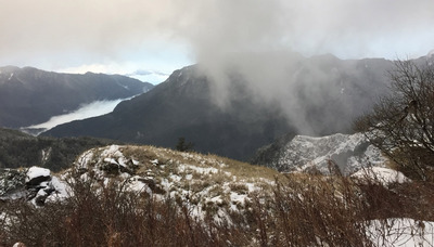 寒流配合水氣，合歡山9日深夜到10日清晨降雪，山坡植被可見被白雪覆蓋。 圖 : 張宏明/提供