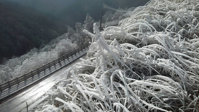 受到強烈大陸冷氣團影響，宜蘭縣太平山國家森林遊樂區11日深夜降雪，地面積雪約1公分，12日山區因水氣重樹梢凝結霧淞成銀白世界。 圖 : 賴俊仁/提供