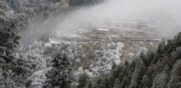 宜蘭山區近日入夜氣溫驟降偶降瑞雪，白天高溫也不超過攝氏5度，山區因水氣重樹梢凝結霧淞成銀白世界，太平山莊經理賴俊仁12日表示，上午7時許氣溫為攝氏零下5度，雖積雪已不多但路面結冰情況嚴重，車輛通行仍需加掛雪鏈。 圖 : 賴俊仁/提供
