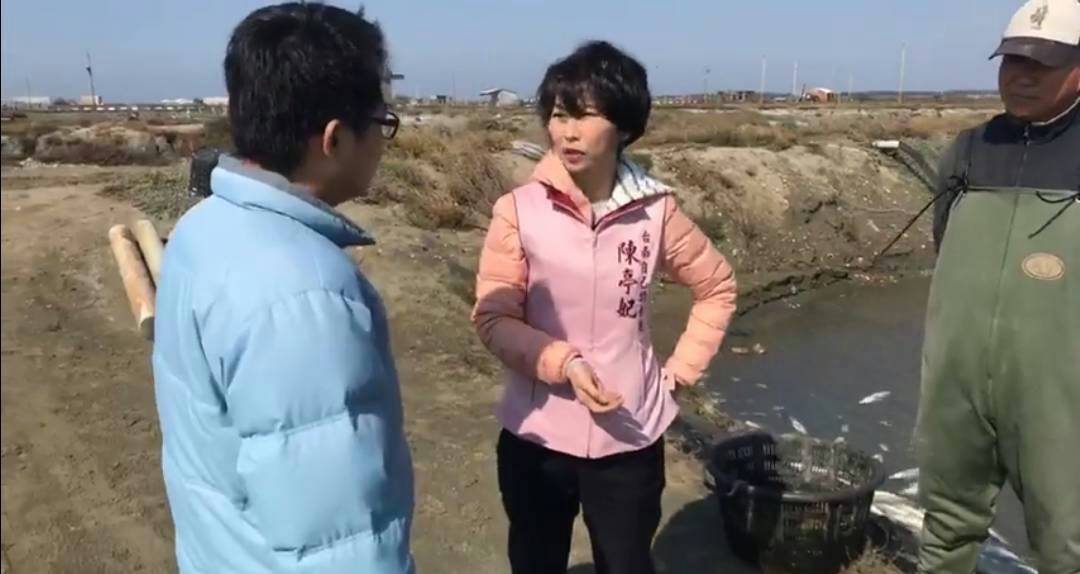 陳亭妃趕赴安南、七股視察漁塭寒害災情，發現災情慘重，立即要求農漁單位採取補救措施。 圖：黃博郎/攝