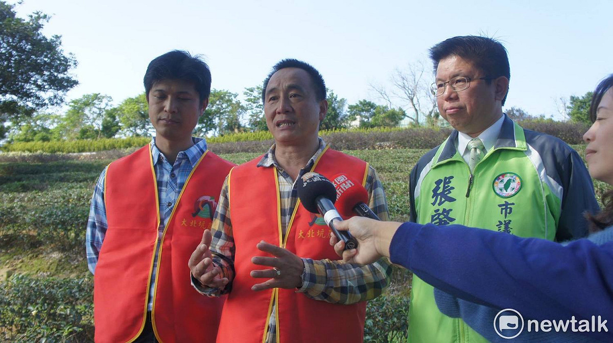 桃市府為了重現早年龍潭的茶鄉風情，選擇大北坑、三水、三和社區的13公頃茶園，在茶樹與茶樹間種植藍、白、鵝黃三色的魯冰花，預計今年3月間就會開花，花期大約2到3週。圖右起為桃園市議員張肇良，大北坑發展協會總幹事江增平、大北坑發展協會理事長陳嘉慶。 圖:陳奕/攝