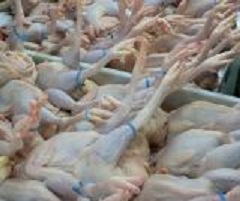美國今天基本上贏得世界貿易組織（WTO）一項裁決，即認定中國繼續對美國肉雞產品課徵懲罰性關稅，未遵守WTO先前作出的判決。 圖 : 翻攝自中國冷凍製造網