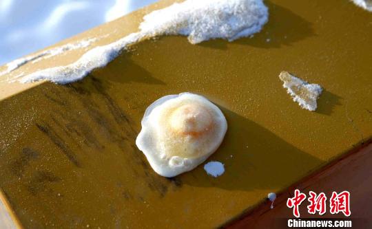 打在鐵皮上的雞蛋「煎」成「冰雞蛋」。 圖：翻攝自中新網