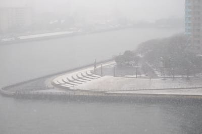 日本東京部分地區降大雪，部分河濱公園因積雪一片雪白。 圖 : 中央社