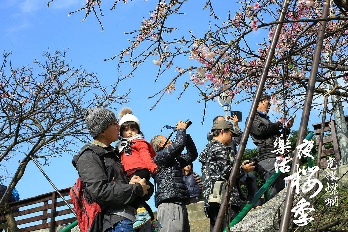 公園處表示，內湖樂活櫻花季能讓親朋好友歡樂相聚，一同在內湖樂活公園留下回憶。 圖：內湖夜櫻季FB粉絲專頁提供