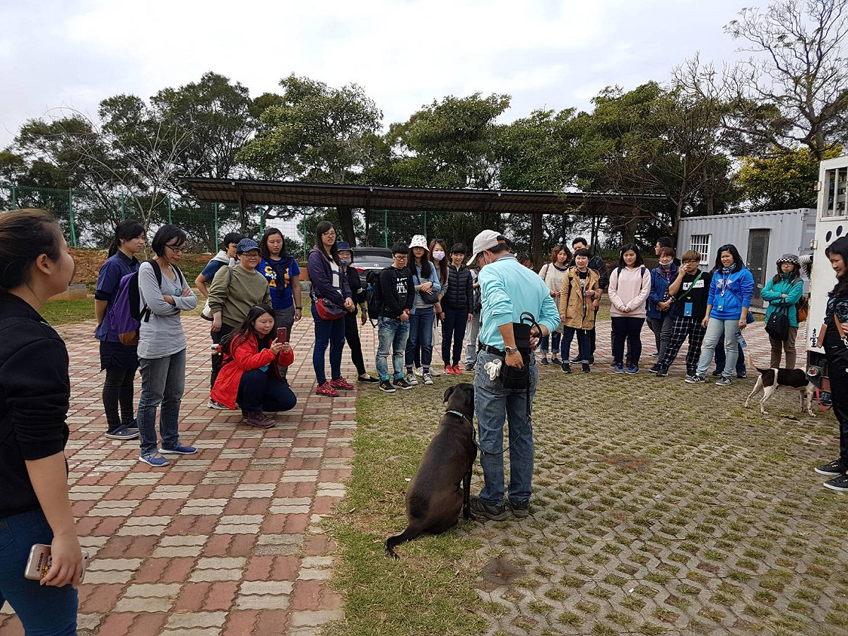 連續兩年「挺挺動物生活節」都在台中舉行，推廣動物友善理念，率領志工團隊到台中進行一趟動保小旅行。 圖：台中市政府提供