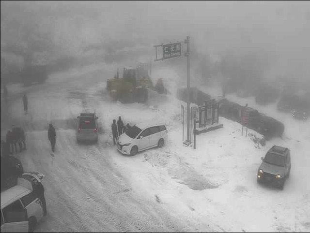 合歡山區今天凌晨開始降雪，凌晨即有300、400輛汽車在翠峰管制站等候開放上山，上午7時放行，民眾駕車開心衝上山賞雪。 圖:翻攝自合歡山旅客服務中心即時攝影