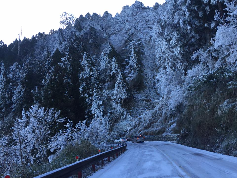 想上山賞雪的朋友要留意，太平山區內海拔約1,000公尺以上區域將積雪嚴重。 圖：太平山國家森林遊樂區FB提供 夏銘廷／攝