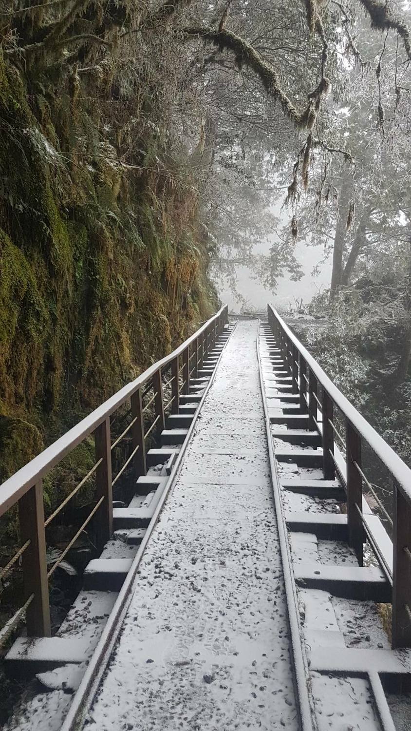 太平山國家森林遊樂區的翠峰湖區，在今天清晨從先下冰霰，然後在9:00終於下雪。 圖：太平山國家森林遊樂區FB提供 賴木成／攝