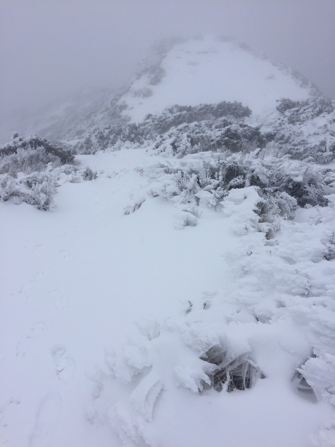 今晨玉山降雪共0.6公分，累積雪深8.6公分。 圖：中央氣象局