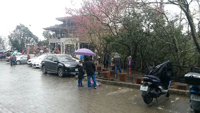 拉拉山午後下雪，未加雪鏈車輛禁上神木區。 圖：桃園市政府大溪警分局提供