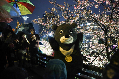 「2018樂活夜櫻季」3日晚間在台北市內湖樂活公園舉辦點燈儀式，台北市吉祥物「熊讚Bravo」也到場賞櫻，與民眾開心互動合影。 圖/中央社