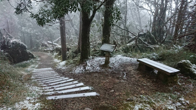 宜蘭縣太平山降下今年第三波瑞雪。 圖/中央社