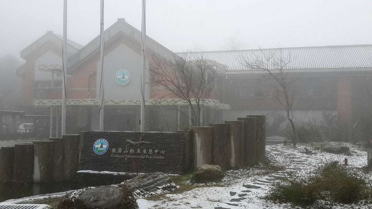 今日上午7時許，苗栗縣雪霸國家公園觀霧遊憩區開始飄雪。 圖：《保七總隊》FB提供