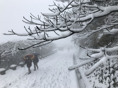 大屯山降雪。
 圖：中央社