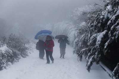民眾徒步上大屯山賞雪。 圖：中央社