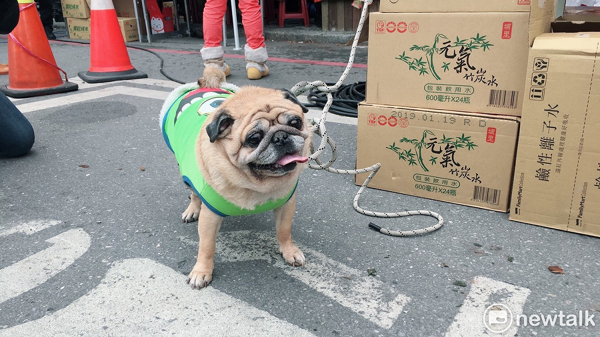 稍早一隻巴戈犬被救出。 圖：黃韋銓/攝