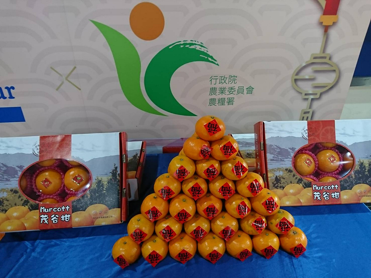 國產水果茂谷柑是年節應景果品之一，不僅營養價值高外，外型也十分喜氣，有象徵吉祥如意、開運大吉等新年好兆頭，成為春節送禮的好選擇。 圖：農糧署提供