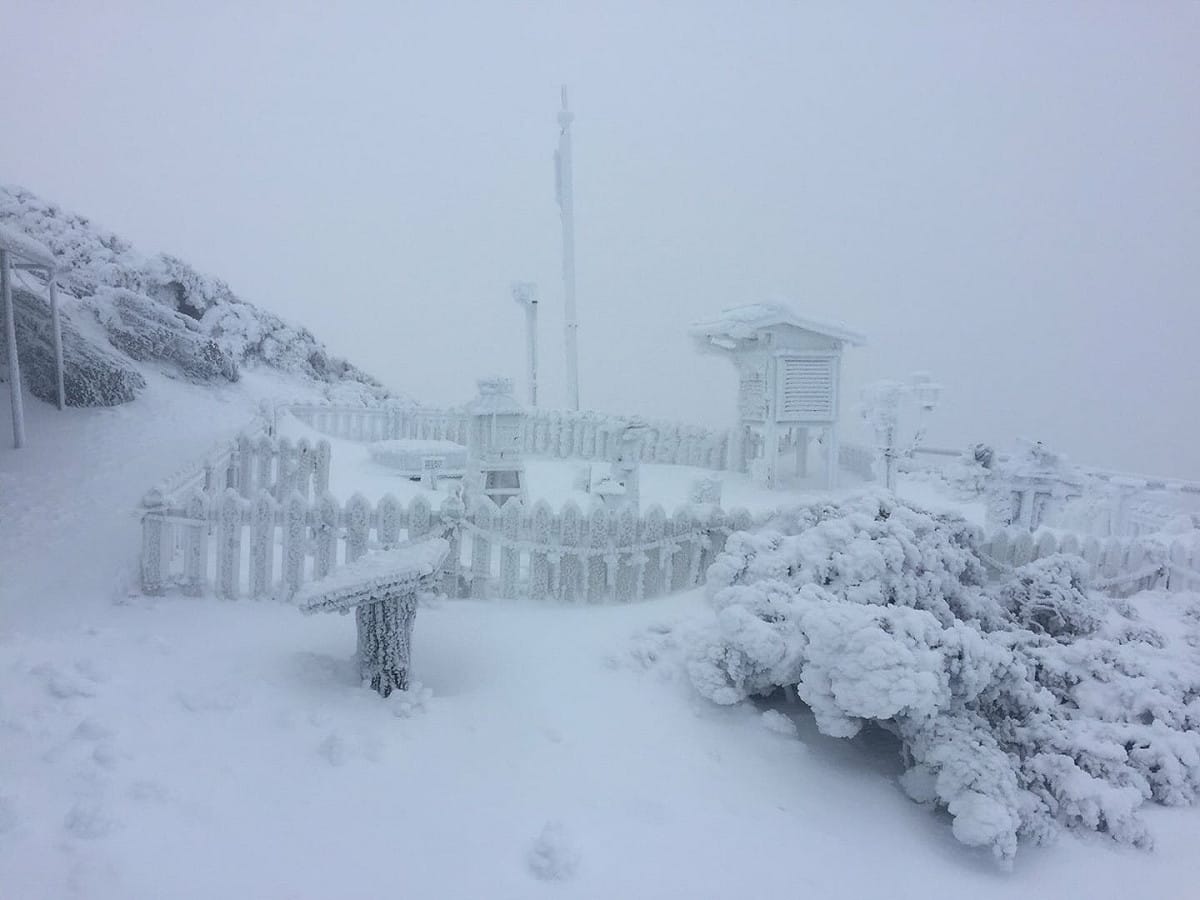 今(8)上午8時玉山觀測站測達累積雪深已達16公分。 圖：中央氣象局提供