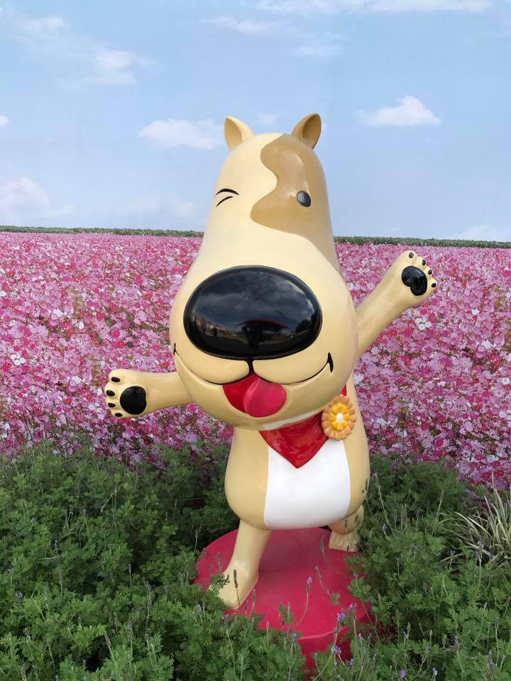 全台最大的平地森林公園「溪州公園」，時間在2月16日至3月3日舉辦「花在彰化X富貴來福鬧春宵」活動，能讓你白天看花海、晚上賞花燈。 圖：花在彰化FB粉絲專頁提供
