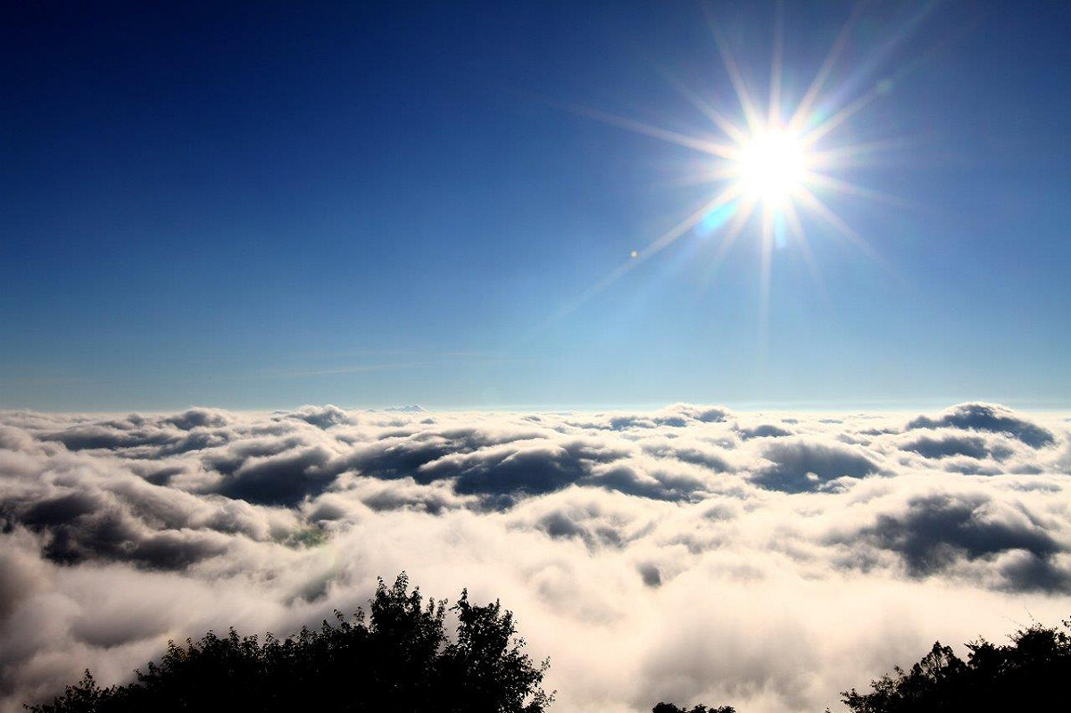 阿里山國家森林遊樂區的雲海，讓你有種俯瞰全世界的壯闊，不經為大自然之美而發出讚嘆。 圖 ：林務局提供