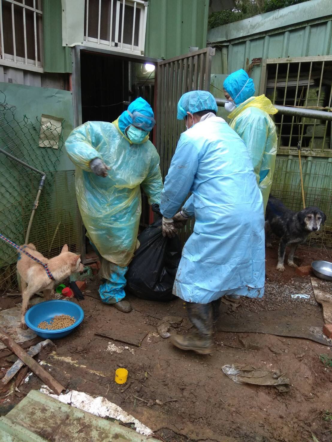 淡水小坪頂的私人狗場，鐵籠內還有30隻犬隻殘骸，動保員將其清理送驗。 圖 : 翻攝新北市動保處網站