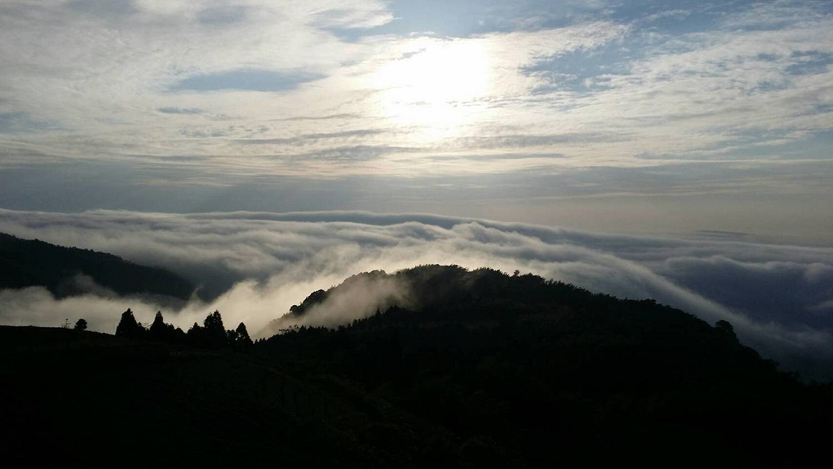 雲嶺之丘，雲海隨著山巒起伏。 圖 : 謝步智/攝