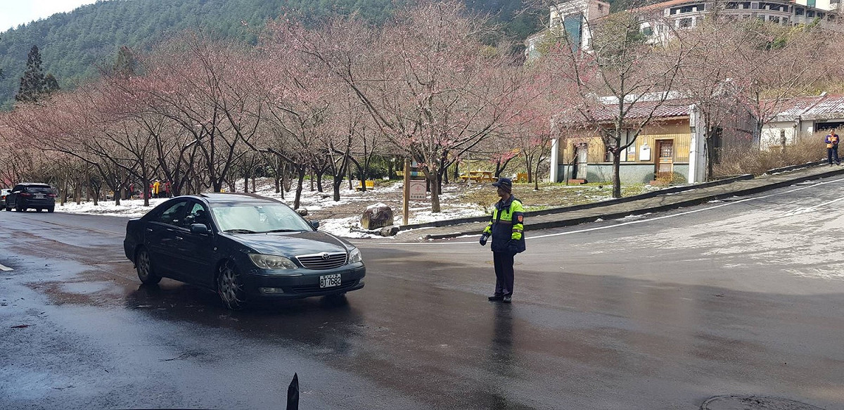 武陵農場櫻花季期間將實施交通管制。 圖：和平警分局/提供