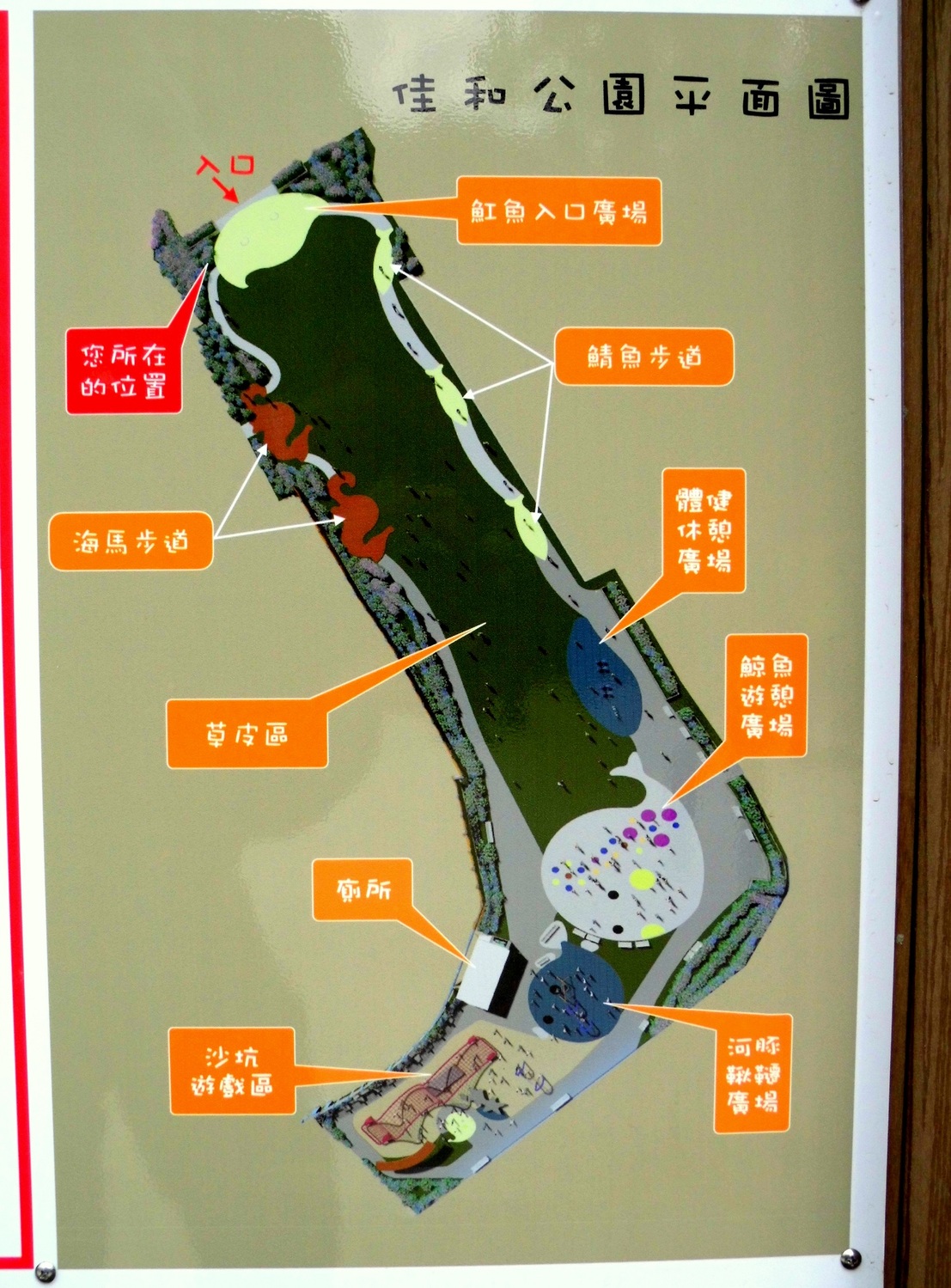 佳和公園面積廣達6,162平方公尺，總經費約2,100萬元，除規劃約2,000平方公尺中央大草坪外，更以海洋世界為基礎。 圖：工務局／提供