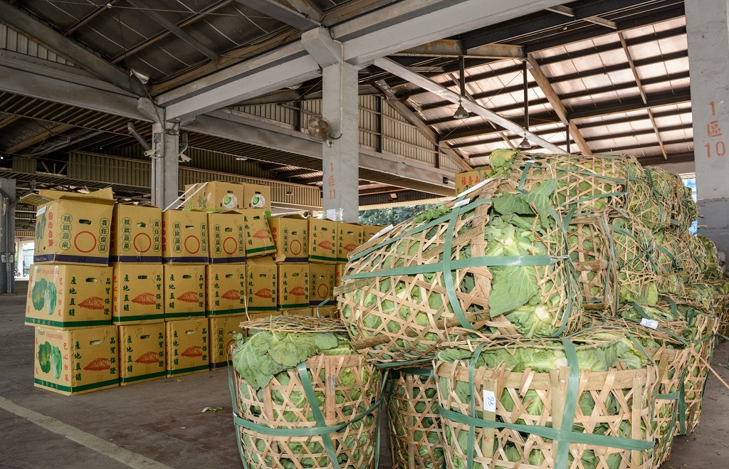 桃園市蔬菜生產量每年高達10萬公噸以上，葉菜類種植面積達2,855公頃之多。 圖：桃市府／提供