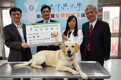 搜救犬鐵雄支援花蓮震災因公受傷，14日回診傷勢都已康復，中興大學獸醫教學醫院頒予鐵雄「興大免費醫療卡」，為全台首張動物的免費醫療卡。 圖：中央社