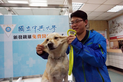 搜救犬鐵雄因支援花蓮震災因公受傷，用藥後隔天，鐵雄已能活動自如，平常就很黏人的鐵雄，受傷後變得更愛撒嬌，康復後的鐵雄開心和領犬員李俊昇（右）玩耍。 圖：中央社