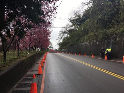 台中市新社區擁有多處賞櫻景點，為因應假日湧入許多外來賞櫻客，東勢警分局今年將針對易違規停車的大南坡路段，在道路兩旁擺放交通錐，提醒民眾勿違規停車。 東勢警分局提供