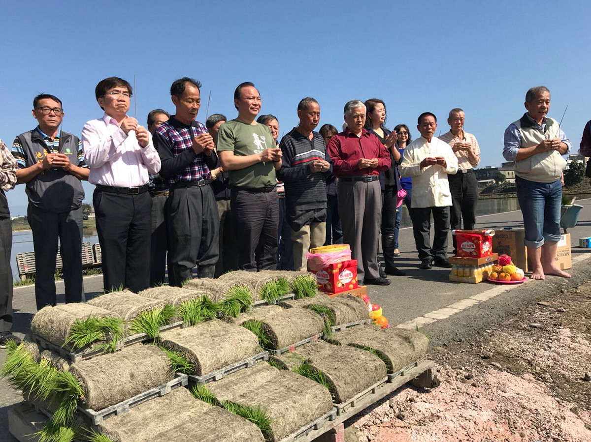 行政院農委會主委林聰賢，率領農業界人士，一同藉由「插秧」為農林漁牧嶄新的一年祈求未來風調雨順。 圖：農委會提供