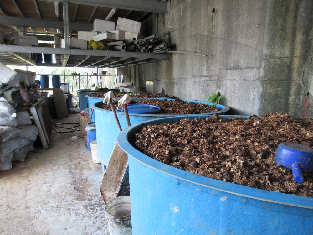 農場除了培養各種菌種改良土壤，還引進蚓菜共生的方法，養殖黑水虻及蚯蚓，將有機質廢棄物循環再利用，以蚓培材及自製液態肥施肥，成為零廢棄物農場。 圖：新北市農業局/提供