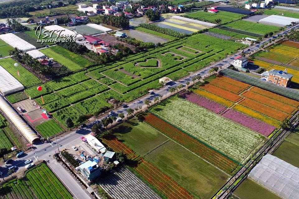 有最具特色的全台最大向日葵迷宮登場，面積達3公頃主場葵花迷宮，位在高181線道旁。 圖：高雄市杉林區公所FB粉絲專頁提供