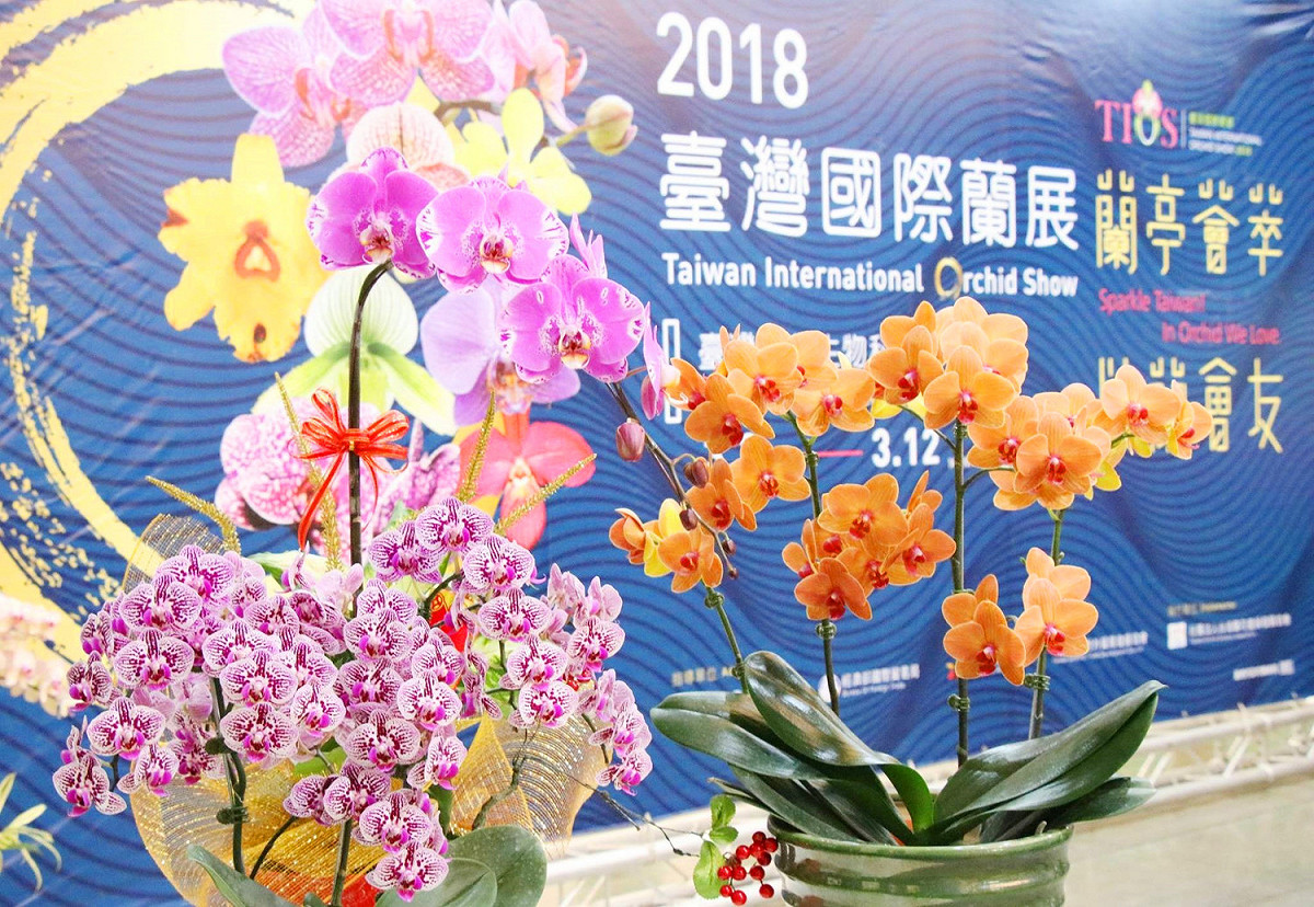 今年蘭展以王羲之《蘭亭序》為發想，「蘭亭薈萃‧以蘭會友」為主題，館內選用各品種蘭花，擬生態佈置山嶺、瀑布、涼亭等景觀。 圖：《2018台灣國際蘭展》FB提供