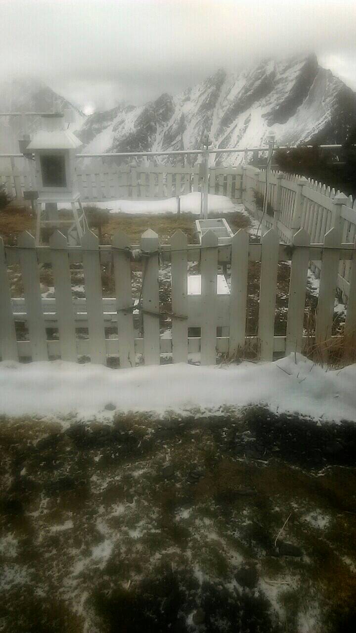 今(24)天清晨中央氣象局玉山氣象觀測站再度成為銀白世界。 圖：中央氣象局