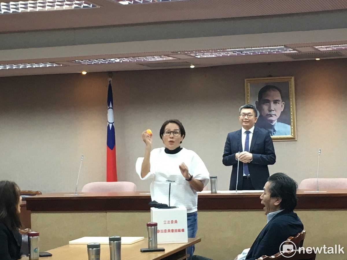 無盟立委高金素梅則是教文委員會。 圖：黃韋銓/攝