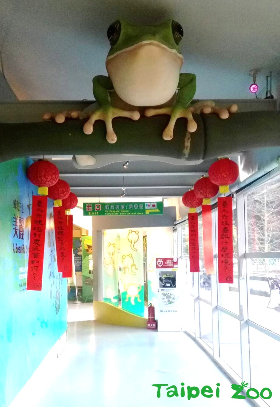 台北赤蛙燈謎擂臺等你來挑戰！ 圖：台北市立動物園提供