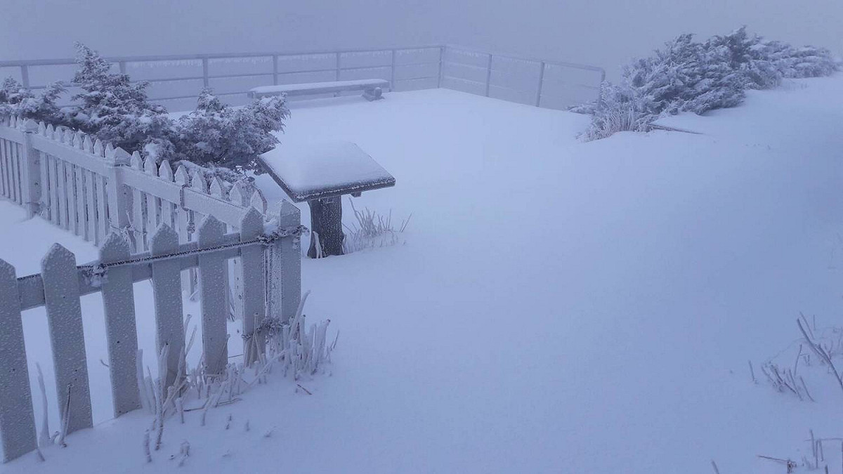 昨(8)天中央氣象局玉山氣象觀測站再度成為雪白大地。 圖：中央氣象局提供