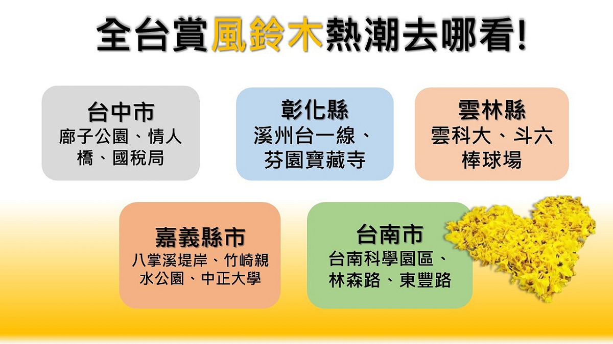 新頭殼為你整理全台風鈴木去哪看的懶人包，快去看看哪些地方可以欣賞吧！ 圖 ：新頭殼製表