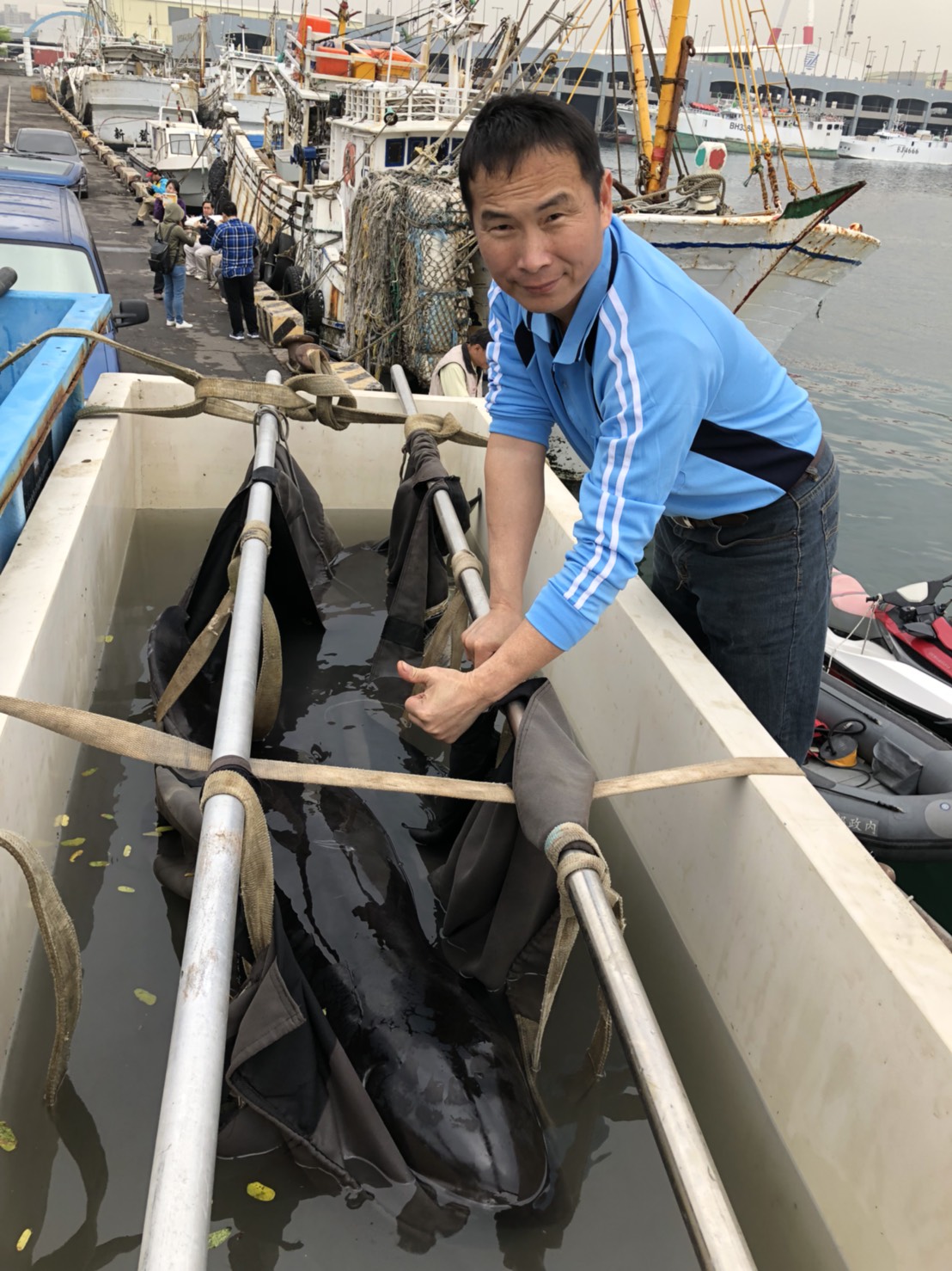 為了避免小虎鯨餓死、病死，圍捕隊伍目前已成功地將小虎鯨從小港漁港誘趕至高雄港96號碼頭誘捕目標地。在聯合隊伍的努力下，分別於3月6、9兩日協助脫困。 圖：嘉義市消防局/提供